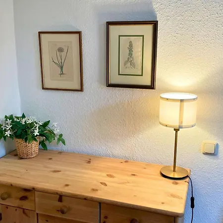 Apartment Ideal For Families And Friends